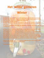 Het ´wilde´genieten - Winter 9789083106182 Anneke Bleeker, Boeken, Verzenden, Zo goed als nieuw, Anneke Bleeker