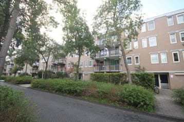 Te huur: Appartement Steenderenstraat in Amsterdam, Noord-Holland, Appartement, Amsterdam