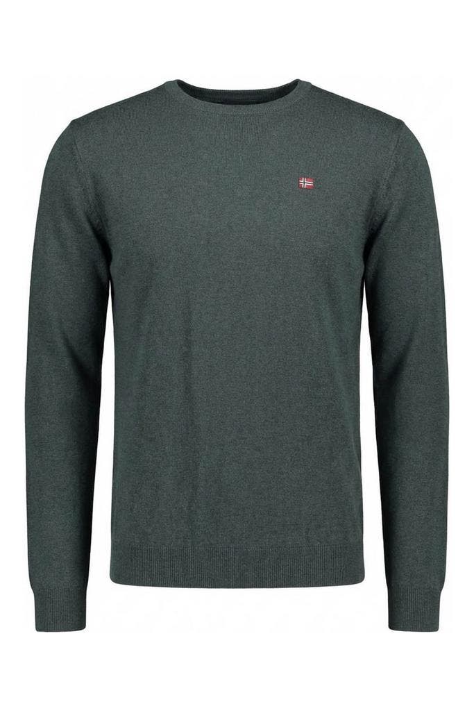 Napapijri Trui in maat M Groen, Kleding | Heren, Truien en Vesten, Overige kleuren, Zo goed als nieuw, Verzenden