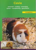 De cavia / Over Dieren 9789058210098, Boeken, Verzenden, Gelezen