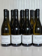 2024 Bourgogne Chardonnay Cuvée Saint Vincent. Vincent, Nieuw