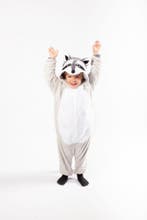 Onesie Grijze Wasbeer Pak 128-134 Wasbeerpak Kostuum Grijs K, Ophalen of Verzenden, Nieuw, 134 t/m 140