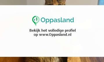 Stephanie zoekt een oppas in Oostvoorne voor 2 kinderen o...