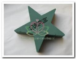 OASIS® Bioline Ster 40 × 40 × 5,5 cm oase voor verse bloemen, Ophalen of Verzenden, Nieuw