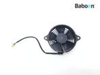 Koelfan Motor Honda SES 150 Dylan (SES150), Motoren, Onderdelen | Honda, Verzenden, Gebruikt