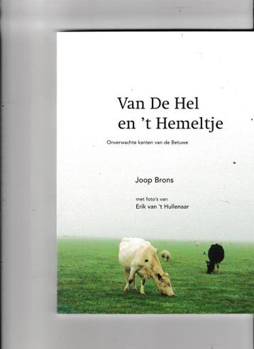 Van de hel en t hemeltje - J. Brons 9789090139050, Boeken, Verzenden, Gelezen, J. Brons