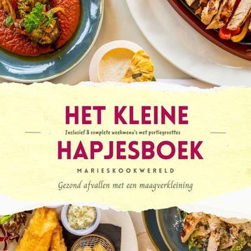 9789083191430 Het kleine hapjesboek na je maagverkleining, Verzenden, Nieuw, Marie-josee Koks