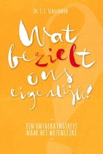 Wat bezielt ons eigenlijk? 9789076681382 C.j. Schuurman, Boeken, Verzenden, Gelezen, C.j. Schuurman