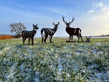 Tuinbeelden | 100+ dieren | Cortenstaal &amp; zwart, Nieuw, Metaal