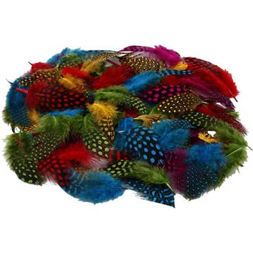 Veren van parelhoen, diverse kleuren, 50 gr/ 1 doos, Nieuw