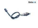 Lambda Sonde Yamaha XT 660 Z Tenere 2008-2011 (XT660Z), Verzenden, Gebruikt