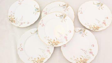 Richard Ginori - Tafelservies (6) - Voor 6 personen - Met de