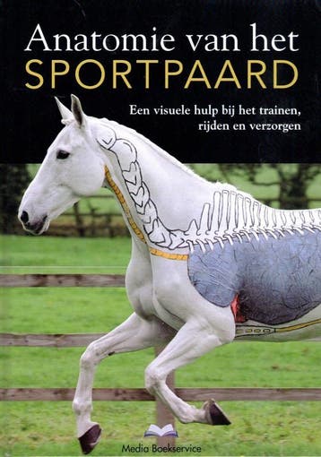 Anatomie van het sportpaard 9789056000189 Stephanie Martin, Boeken, Verzenden, Gelezen, Stephanie Martin