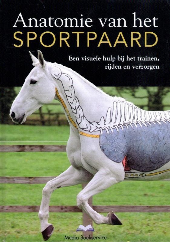 Anatomie van het sportpaard 9789056000189 Stephanie Martin, Boeken, Hobby en Vrije tijd, Gelezen, Verzenden