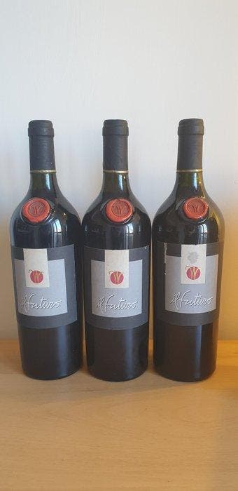 1996 Wilhelm, Il Futuro - Toscane Vino da Tavola - 3 Flessen, Nieuw