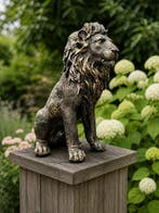 Beeld, statue of golden bronze lion - 45 cm - polyresin