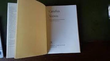 Verzen / Baskerville serie - Catullus 9789025306359, Verzenden, Zo goed als nieuw, Catullus