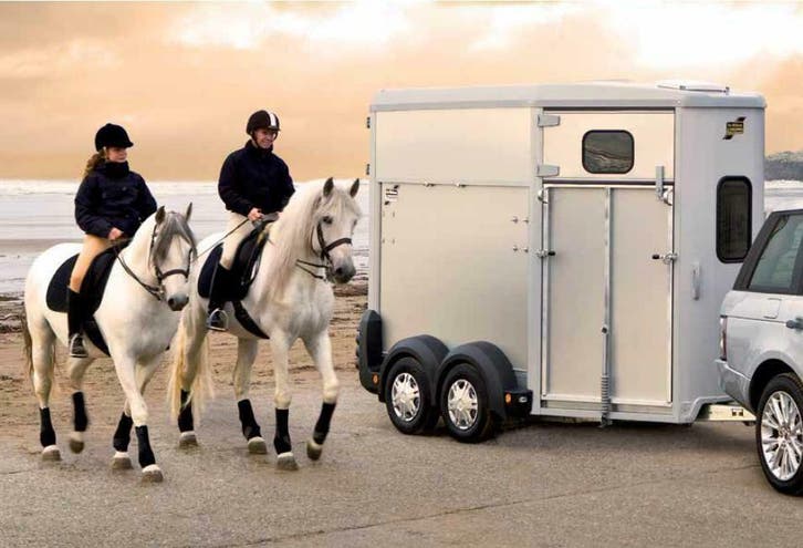 Ifor Williams | Paardentrailers uit voorraad leverbaar, Dieren en Toebehoren, Paarden en Pony's | Trailers en Aanhangwagens, Overige typen
