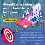 AI Audit, Strategy, &amp; Compliance for SMEs &amp; Startups, Zakelijk advies
