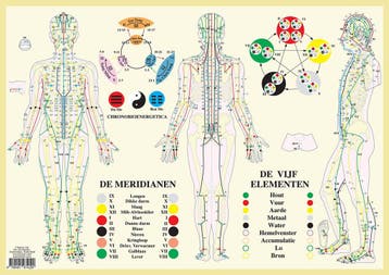 Anatomie poster meridianen en vijf elementen (Nederlands..., Nieuw