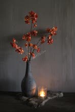 Brynxz Prunus sakura orange 80 cm, Ophalen of Verzenden, Nieuw