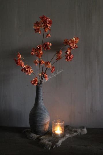 Brynxz Prunus sakura orange 80 cm, Ophalen of Verzenden, Nieuw