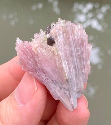 Geen minimumprijs Toermalijn, volle tros kristallen, roze, Verzamelen, Mineralen en Fossielen