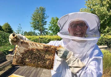Zachtaardig Carnica Bijenvolk - vitale F1 bijenvolken, Bijen