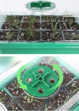 Seed Starter box met kweeklamp 5 lampen 12/60 cellen set 5, Ophalen of Verzenden, Nieuw