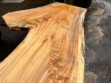 Opruiming:7X Boomstambladen, complete partij 650,- REF 772, Nieuw, Ophalen of Verzenden, 250 tot 300 cm, Plank