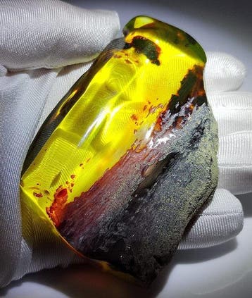 Mexicaanse amber Chiapas!! AAA- 60 g