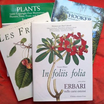 Brosse/Desmond/Harter/Milano - Herbariums, Plants & Fruits