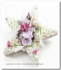 OASIS® Bioline Ster 20 × 20 × 4,5 cm oase voor verse bloemen, Ophalen of Verzenden, Nieuw
