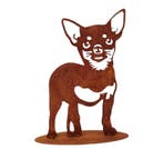 Tuin decoratie beeld Sterre de Chihuahua H30 x B18.5cm, Verzenden, Nieuw