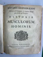 Bernhard Siegfried Albini / Jan Wandelaar - Historia