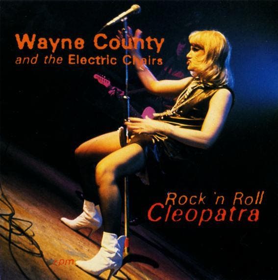 cd - Wayne County &amp; The Electric Chairs - Rockn Roll..., Cd's en Dvd's, Cd's | Rock, Zo goed als nieuw, Verzenden