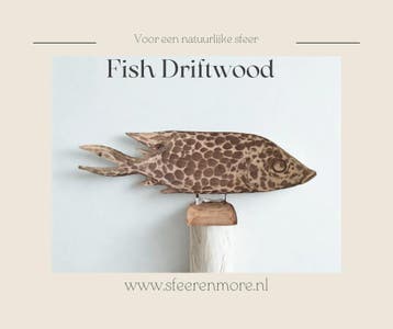 Fish Drapa Driftwood, lengte 63 cm Nieuw!, Verzenden, Nieuw