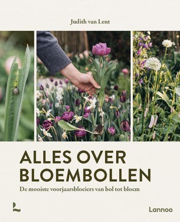 Alles Over Bloembollen | Judith Lent | Nieuw, Ophalen of Verzenden, Nieuw, Judith Lent