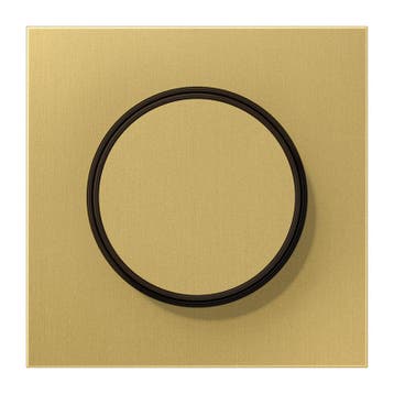 Jung LS Bereik Classic Messing Dimmer Afdekking Plaat -, Verzenden, Nieuw, Overige typen