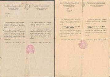 Certificaat - Judaica, Holocaust Rescue Documents - Carl