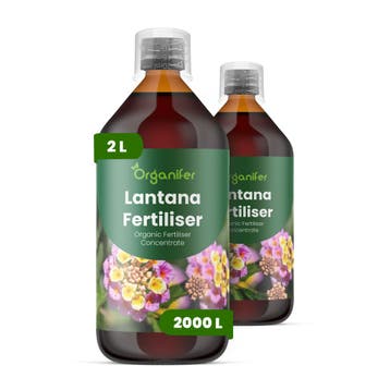 Lantana Vloeibare meststof - Set 2x1 liter, Verzenden, Mest