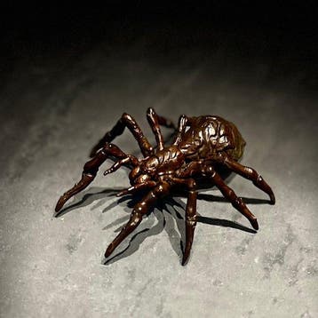 Japanse bronzen spinnenbeeld / theeceremonie-accentobject –, Antiek en Kunst