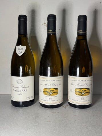 2021 Domaine Delaporte Silex & 2023 x 2 Pascal Cotat Les, Nieuw