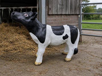 Beeld, farm big cow 60 cm - 60 cm - polyresin