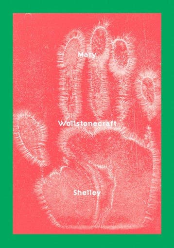 9781733497176 Last Man, the Mary Wollstonecraft Shelley, Verzenden, Nieuw, Mary Wollstonecraft Shelley