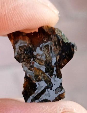 Admire meteoriet Pallasiet - 2.53 g