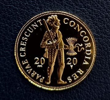Gouden Enkele Dukaat 2020 met letter Z en goudbaar op zuid, Verzenden, Goud