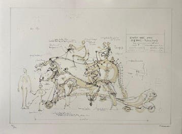 Francois Delarozière (1963) - Boeuf de manège