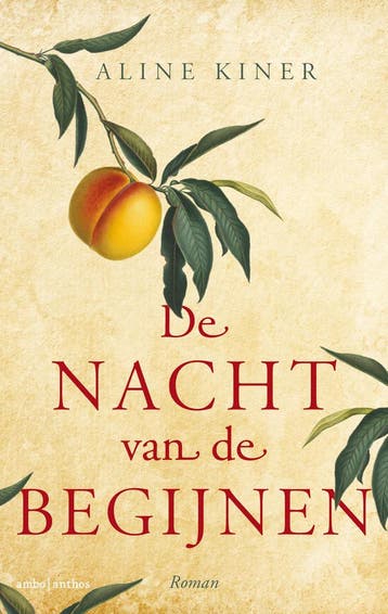 De nacht van de begijnen - Aline Kiner 9789026344121, Boeken, Verzenden, Gelezen, Aline Kiner