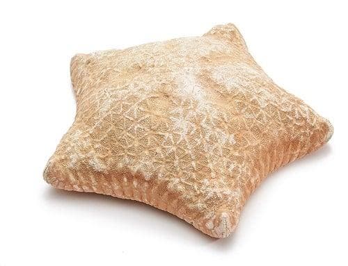 Zeester Pillow Starfish, Hobby en Vrije tijd, Knutselen, Nieuw, Ophalen of Verzenden